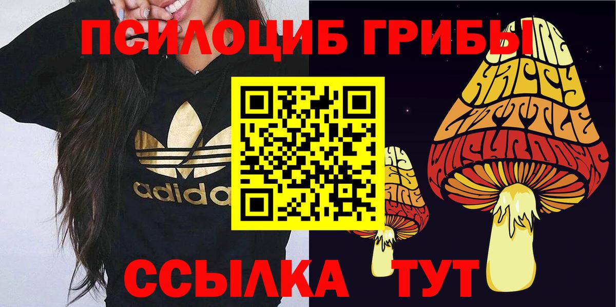 Псилоцибиновые грибы ЛСД Асбест